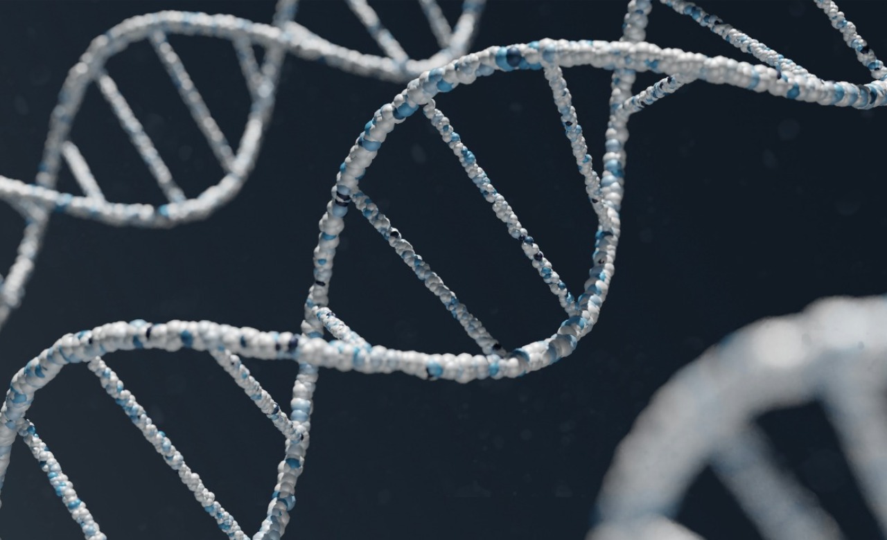 How to Incorporate Peptide Data into Diagnostic Methodologie